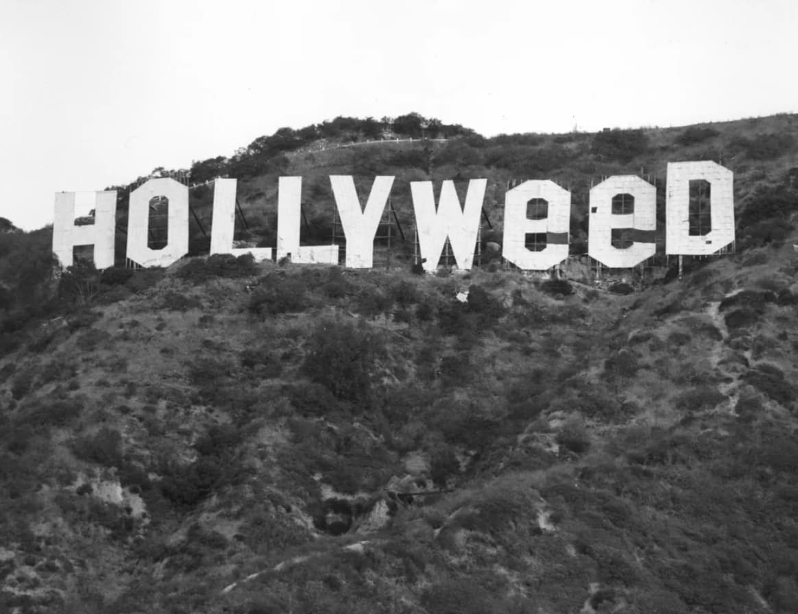 hollyweed sign 1976 - Hollyweed